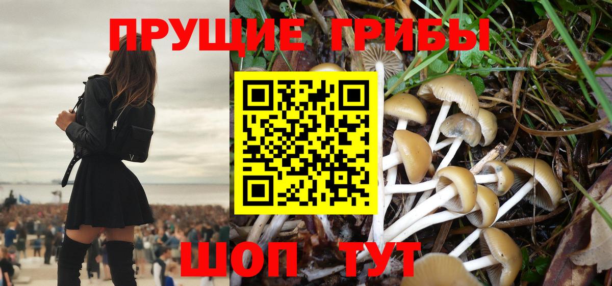 Берёзовский  Галлюциногенные грибы Psilocybe  как найти   Вход с VPN 