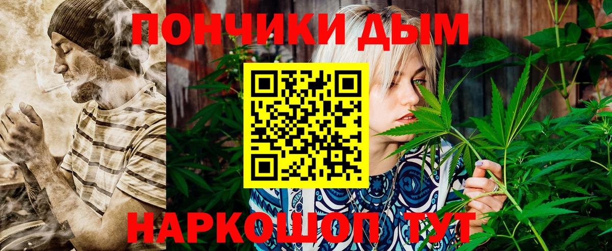 Шишки марихуана планчик  Бошки Шишки марихуана  Вход с VPN  Берёзовский  Конопля ГИДРОПОН  Канабис Bruce Banner 